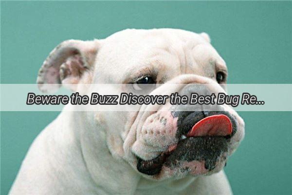 Beware the Buzz Discover the Best Bug Repellents for DogLovers